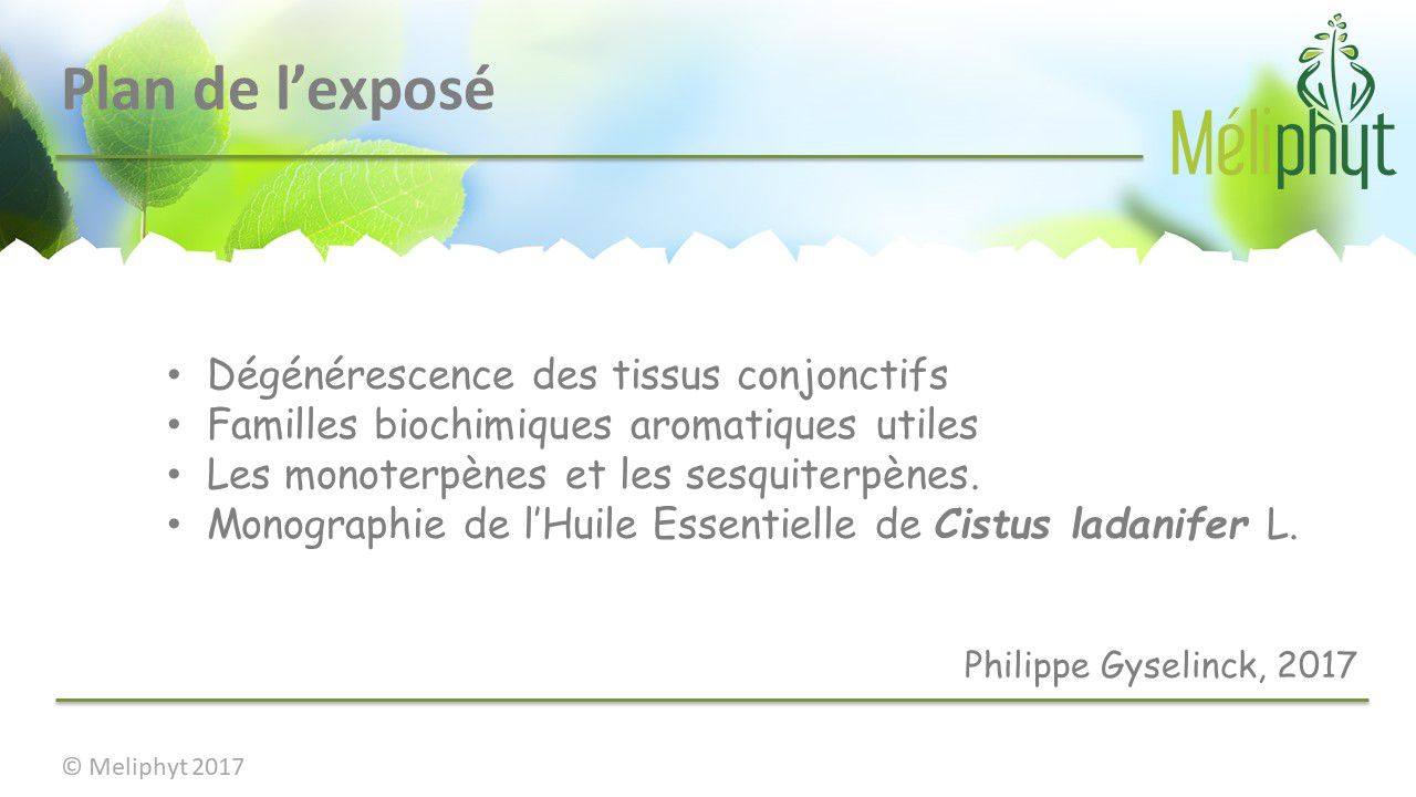 Image de diapositive