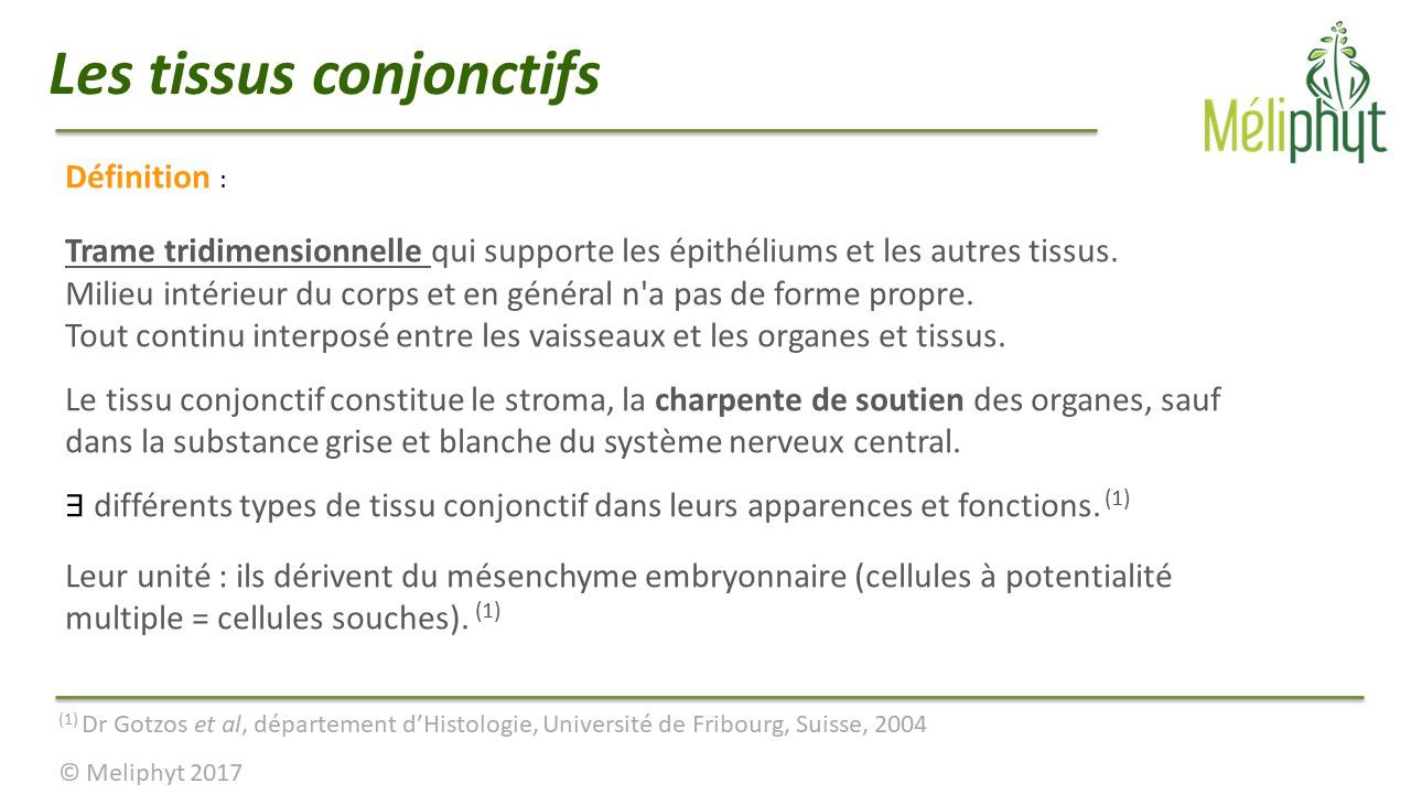 Image de diapositive