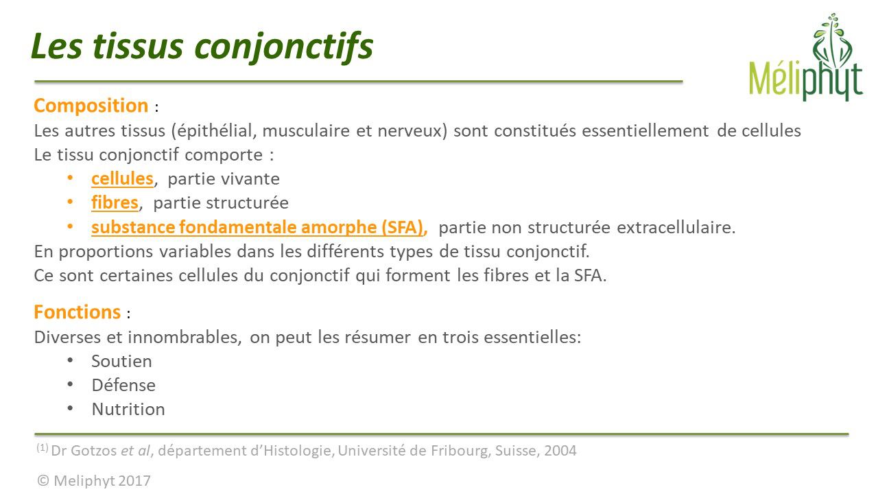 Image de diapositive