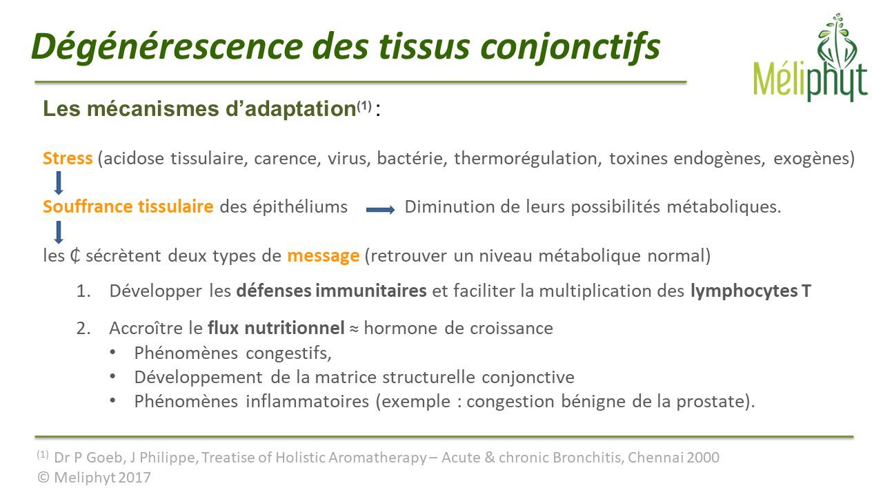 Image de diapositive