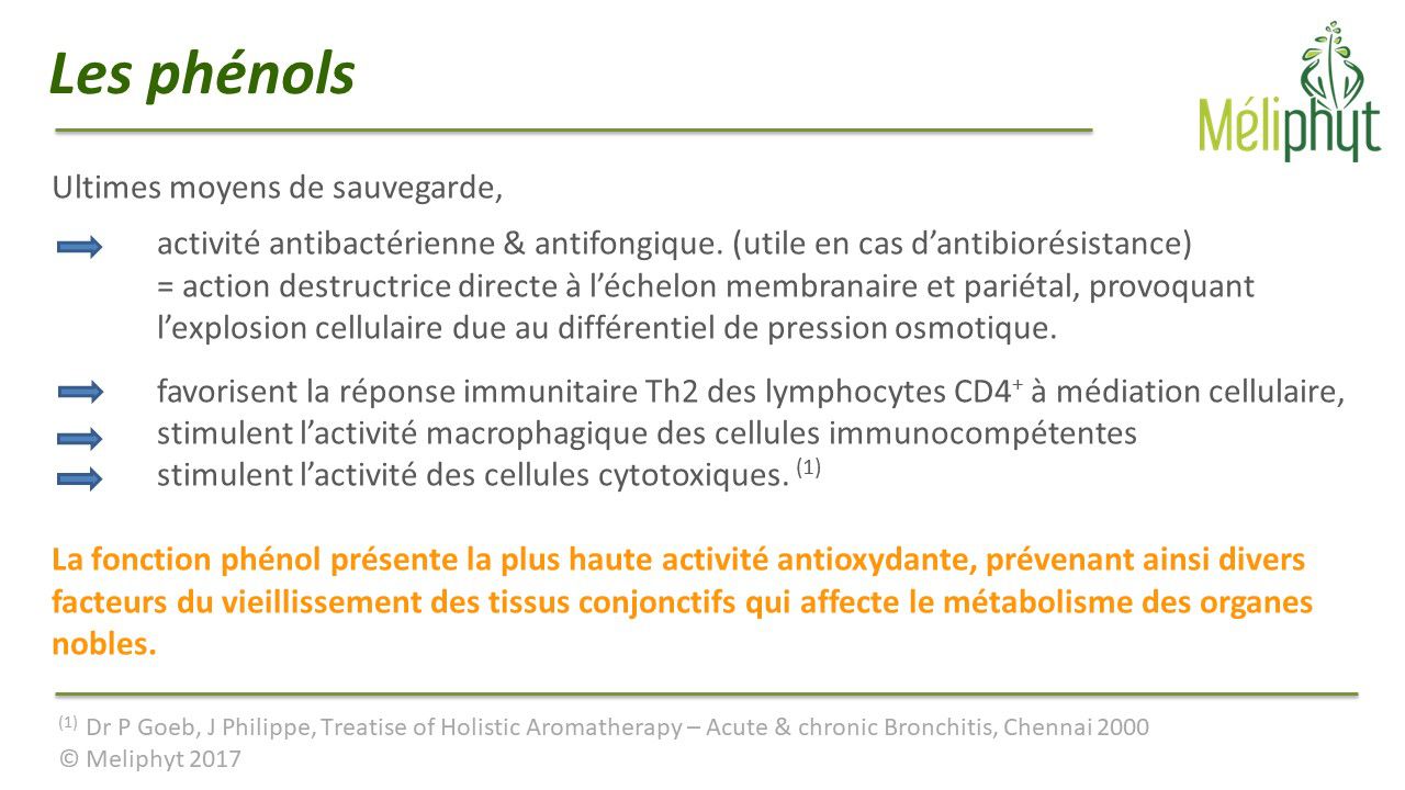 Image de diapositive