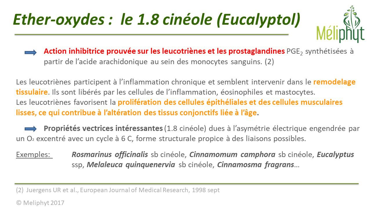 Image de diapositive