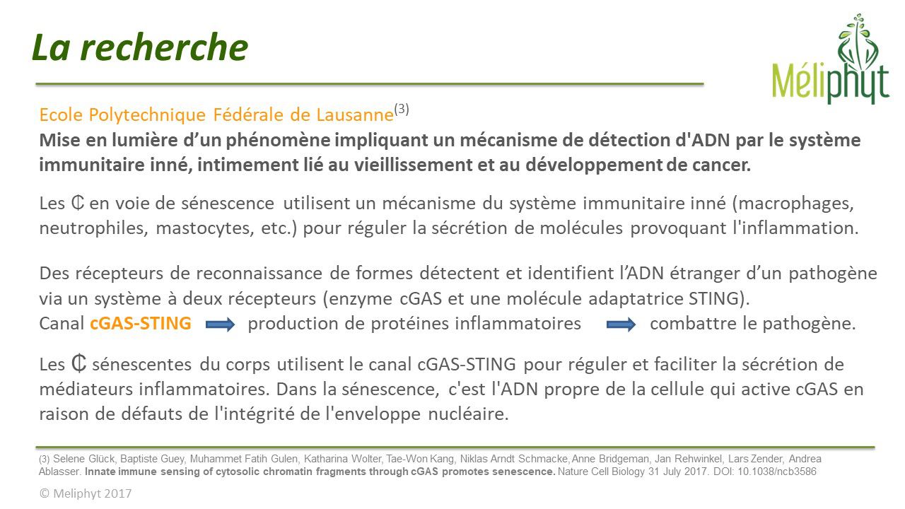 Image de diapositive