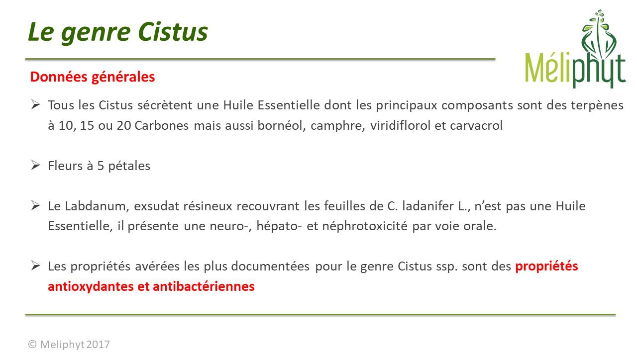 Image de diapositive
