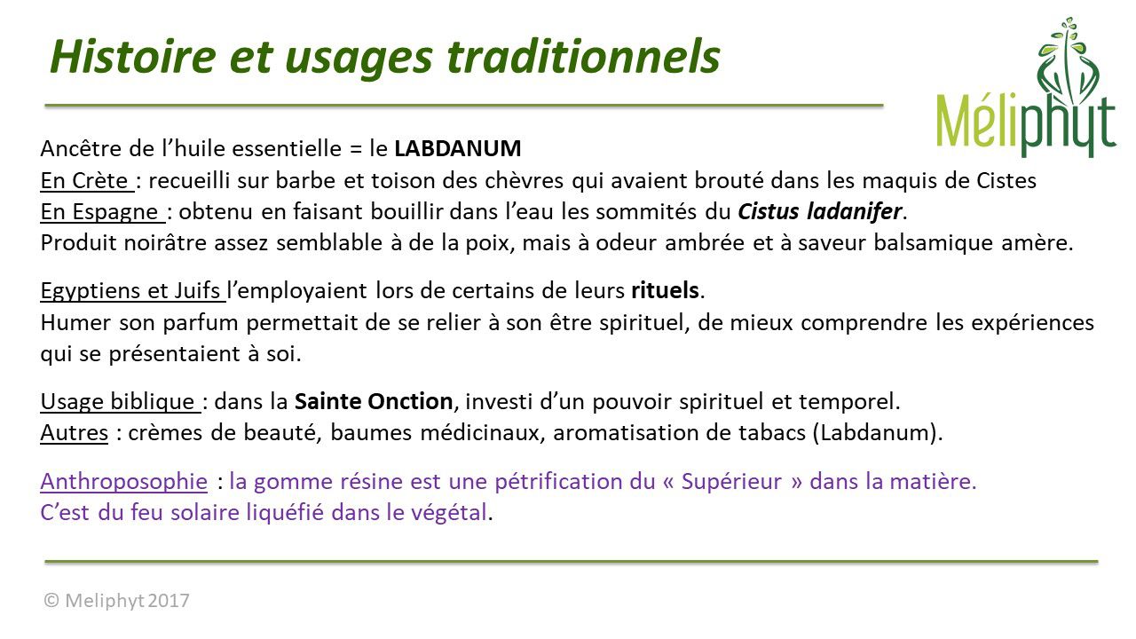 Image de diapositive