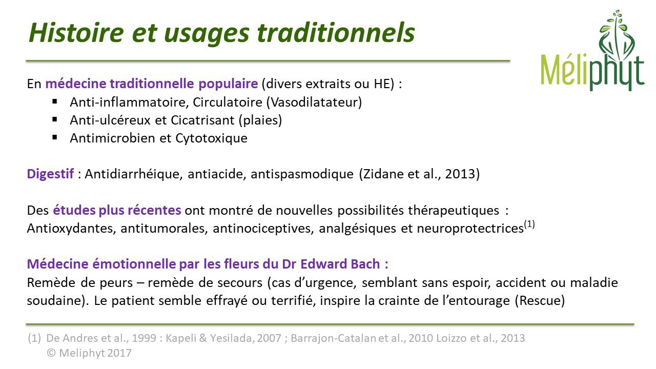Image de diapositive