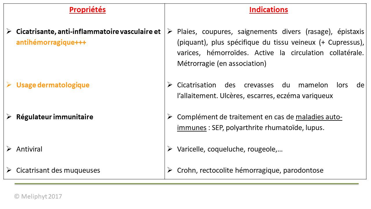 Image de diapositive