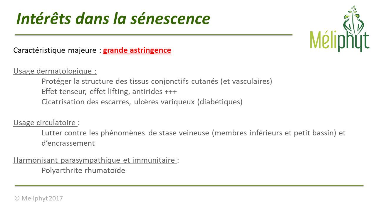 Image de diapositive