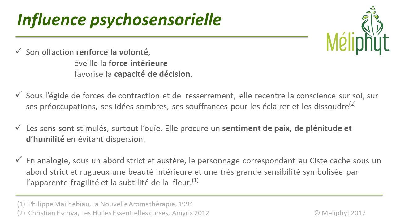 Image de diapositive