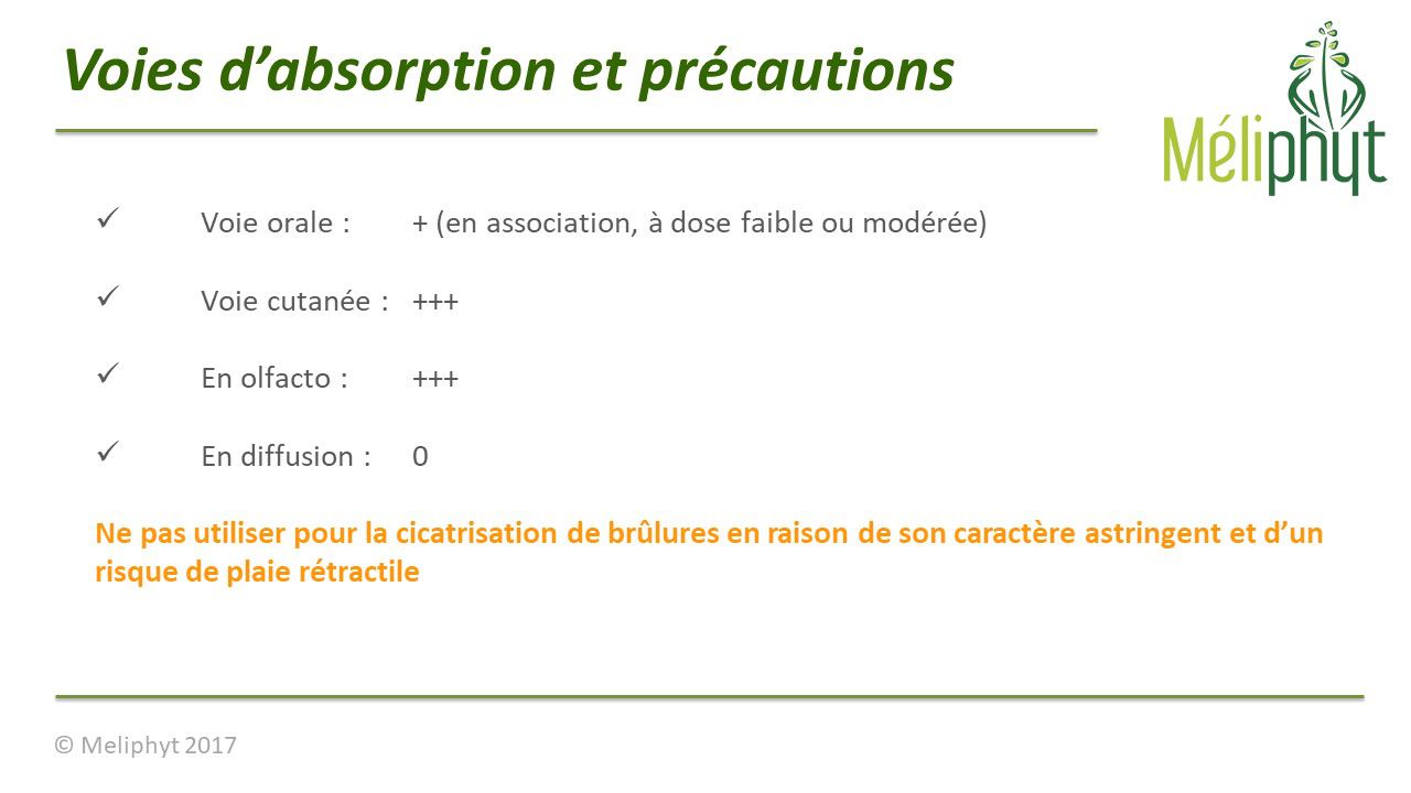 Image de diapositive