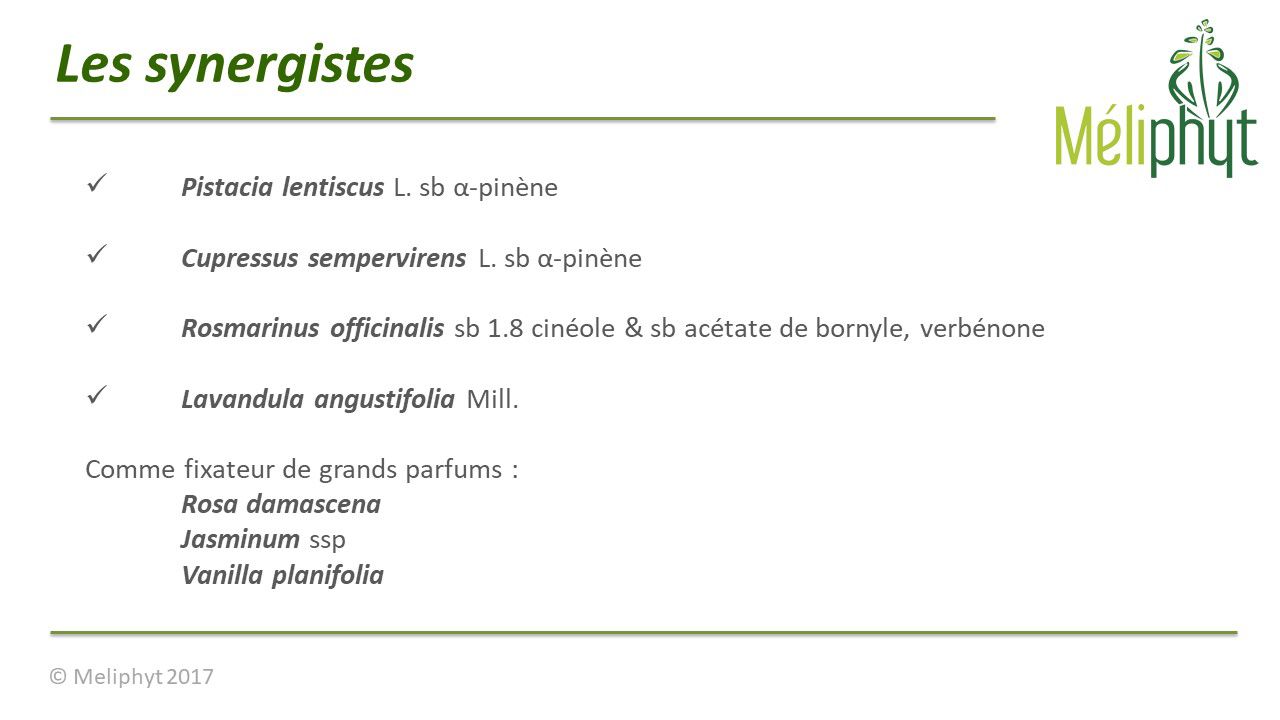 Image de diapositive