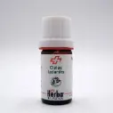 HE CISTUS LADANIFER L. (= LADANIFERUS) BIO* 5 ml