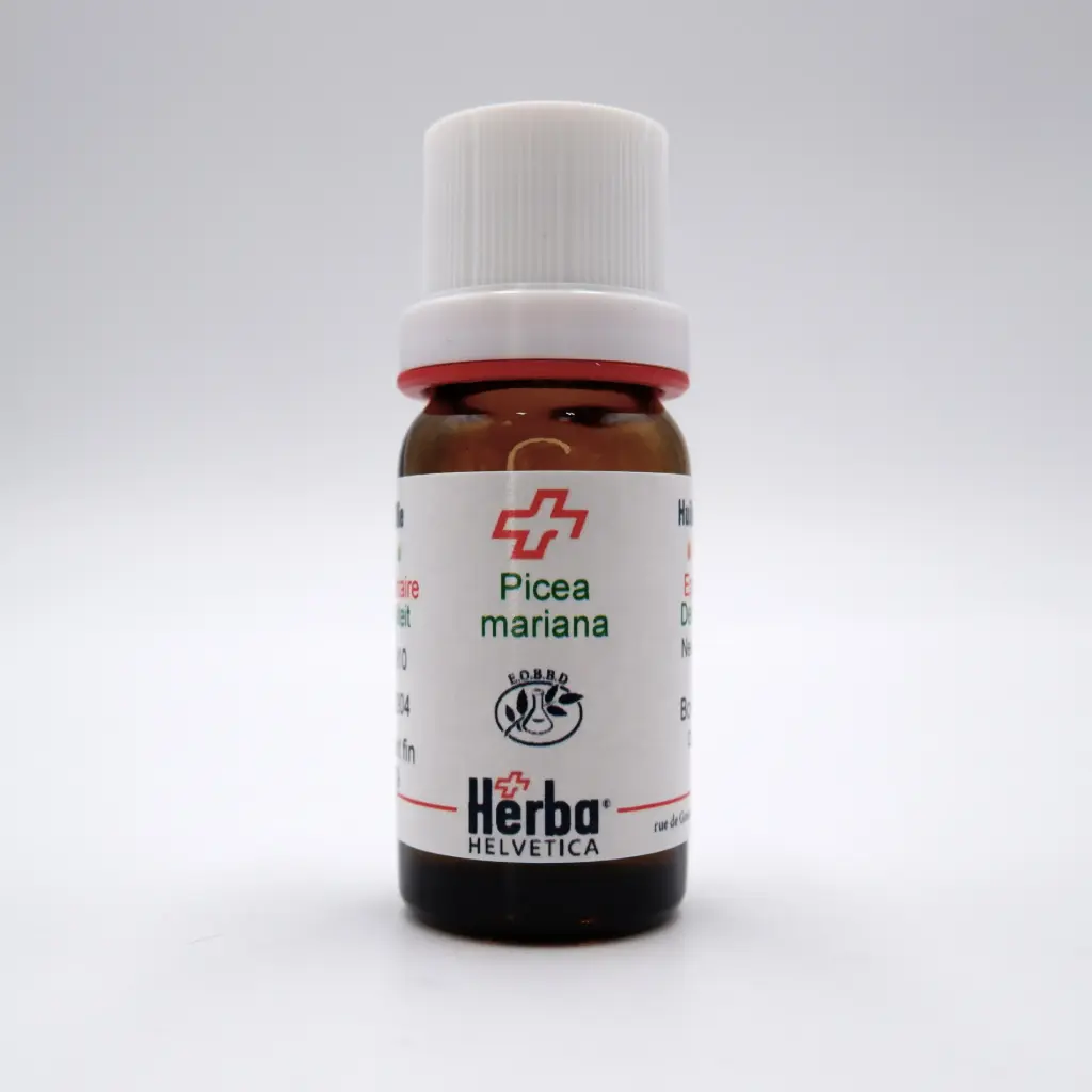 HE PICEA MARIANA (Mill.) Britton et al. 10 ml
