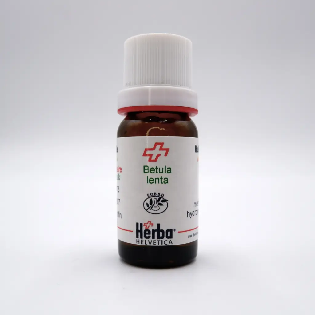 HE BETULA LENTA L. (Bouleau merisier FEUILLES 10 ml