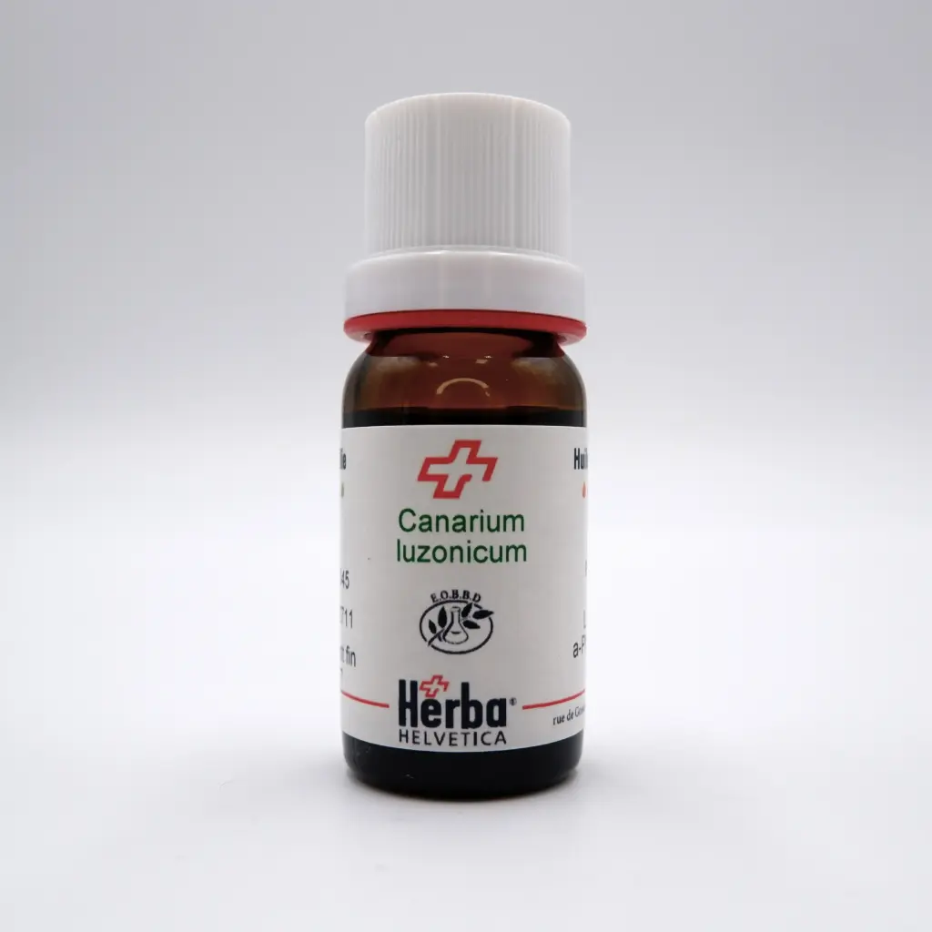 HE CANARIUM LUZONICUM (Blume) A. Gray RESINE 10 ml