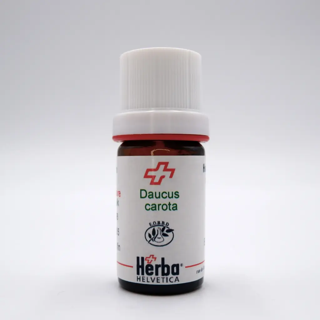 HE DAUCUS CAROTA L. SEMENCES 5 ml
