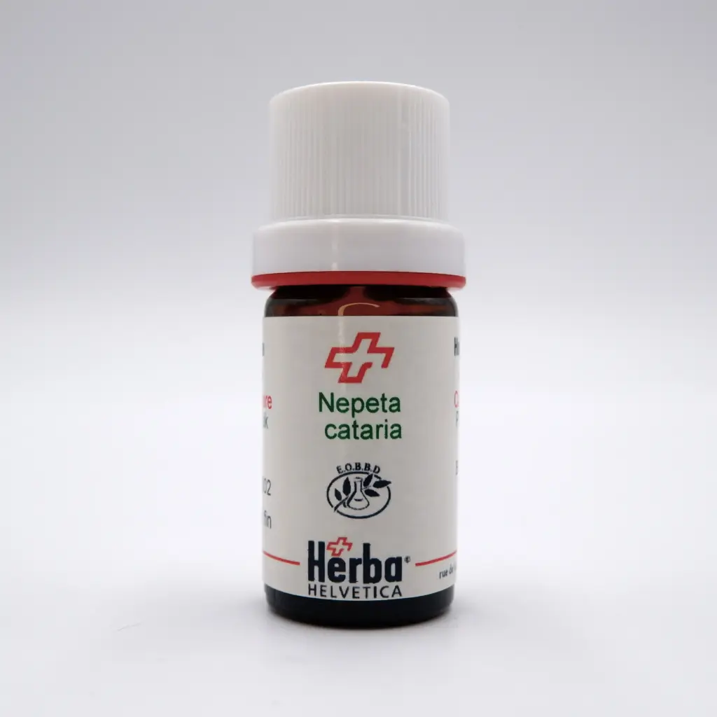 HE NEPETA CATARIA lactones 5 ml