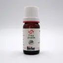 HE PINUS PINASTER Ait. (= PINUS MARITIMA) AIGUILLES 10 ml