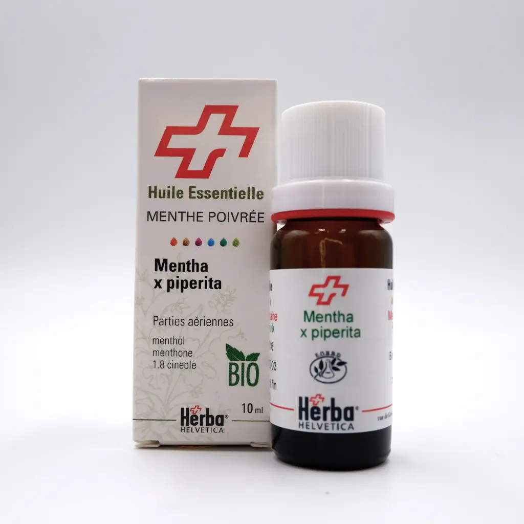 HE MENTHA xPIPERITA L. SB MENTHOL food sup. BIO* 10 ml