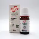 HE EUCALYPTUS RADIATA DC. A. Cunn. Food sup. BIO* 10 ml