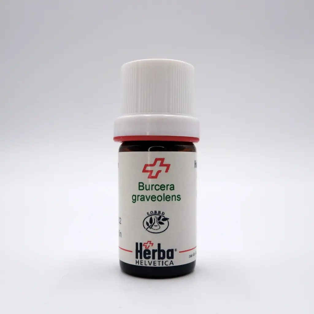 HE BURSERA GRAVEOLENS, bois 5 ml