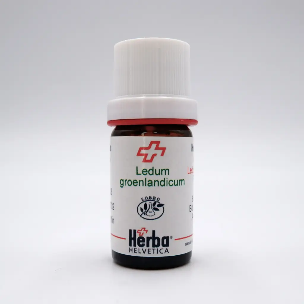 [BELEGR05] HE LEDUM GROENLANDICUM (illegitime = rhododendron g.) BIO* 5 ml