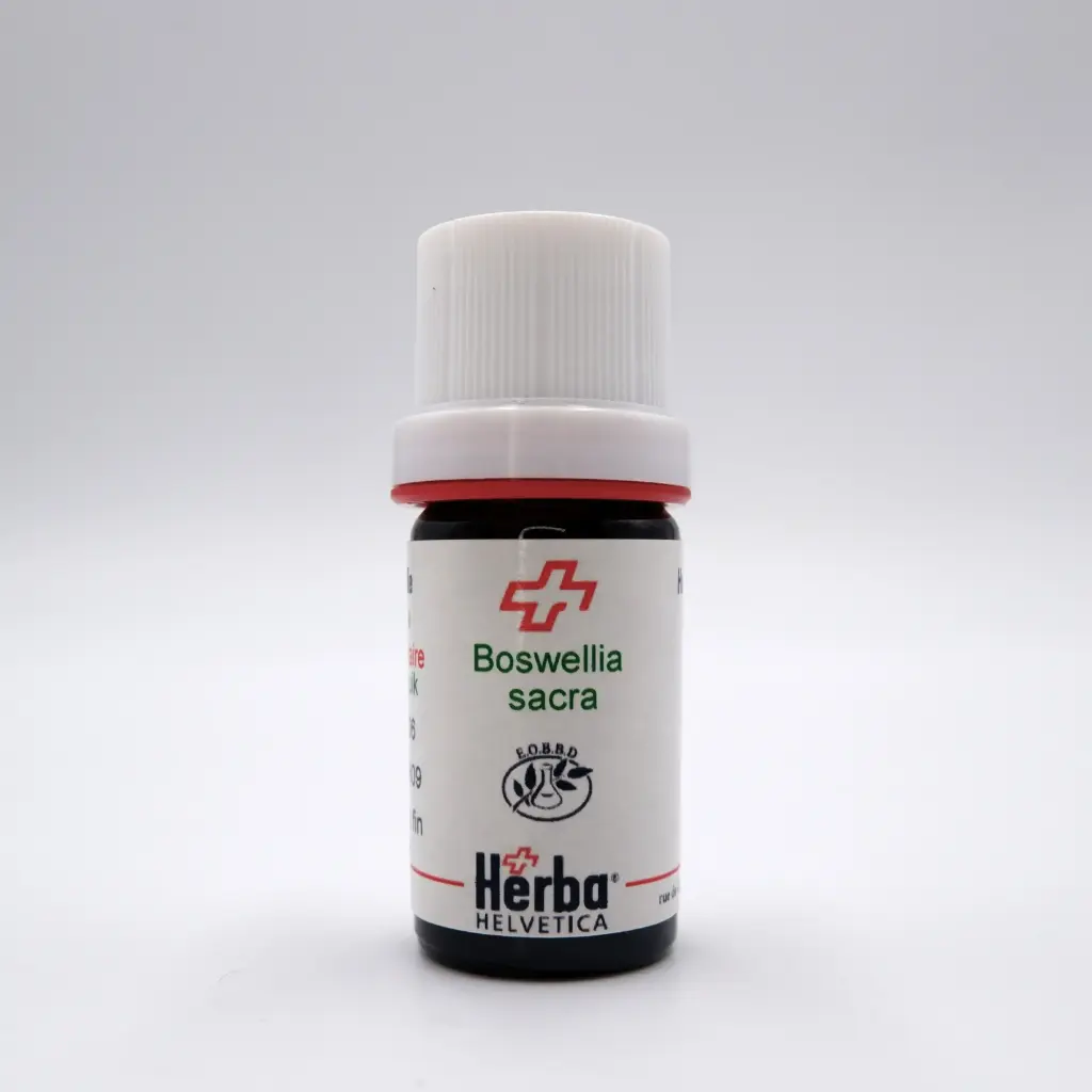 [EBOCA05] HE BOSWELLIA SACRA Flueck. (= B. CARTERI) 5 ml