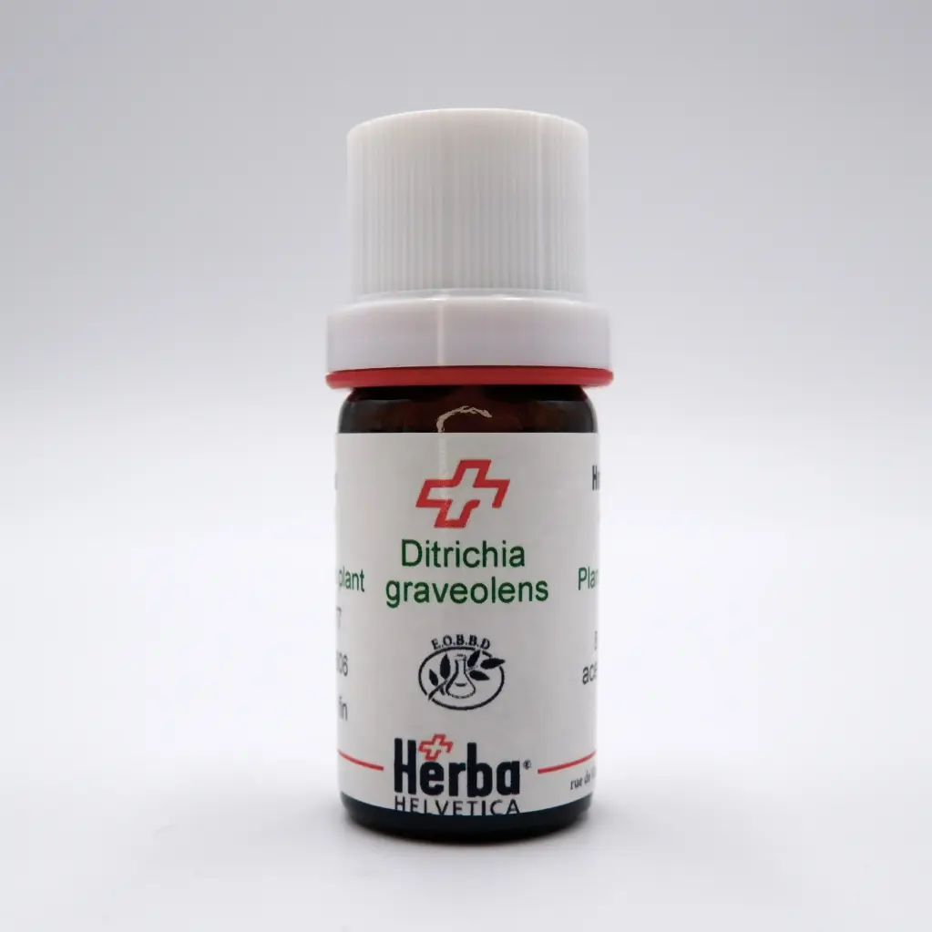 [BEDIGR05] HE DITTRICHIA GRAVEOLENS (L.) Greuter (= INULA GRAV.) BIO* 5 ml