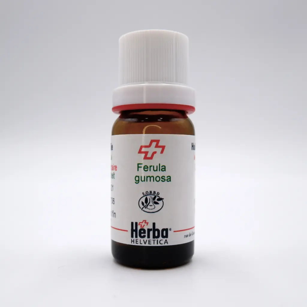 [EFEGA10] HE FERULA GUMMOSA Boiss. (= GALBANIFLUA) 10 ml