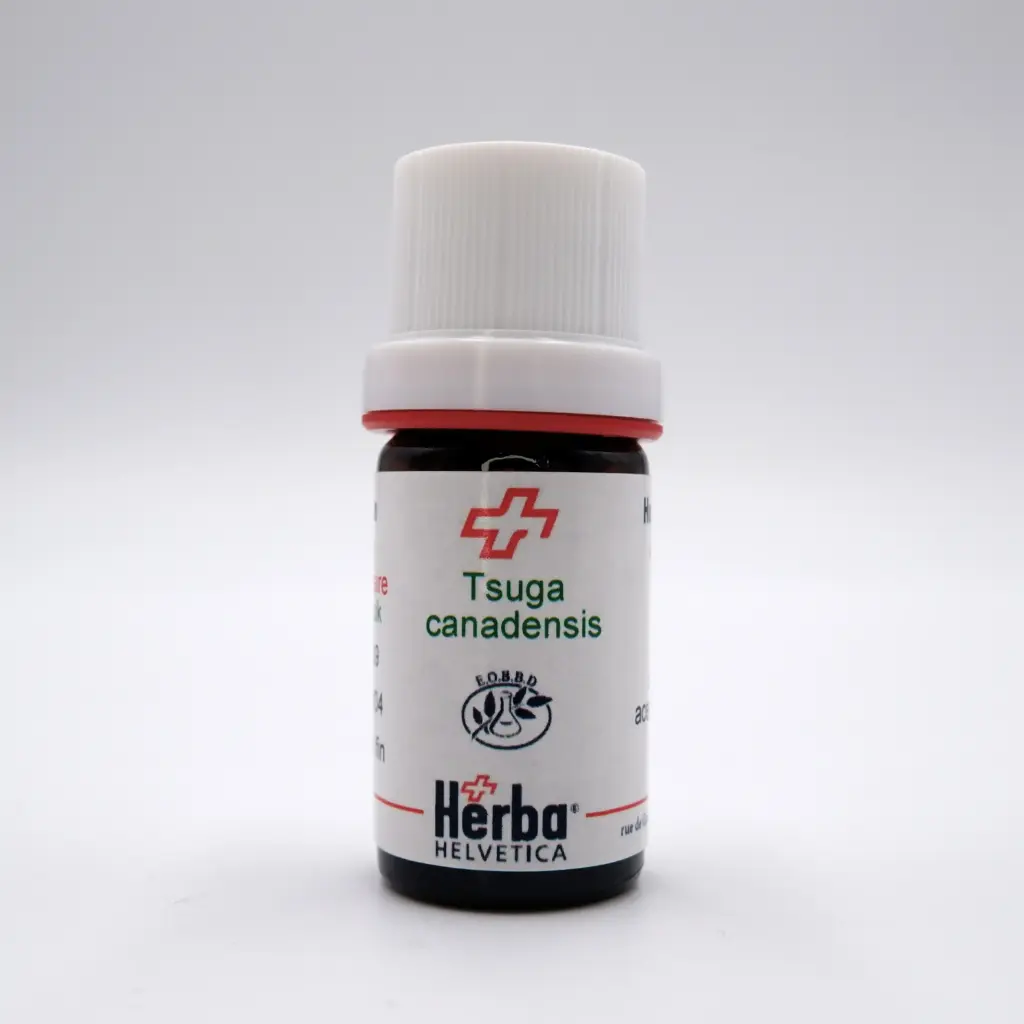 [ETSCA05] HE TSUGA CANADENSIS (L.) Car. AIGUILLES 5 ml